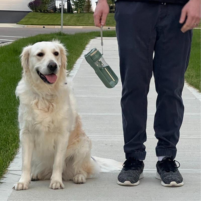 Portable Foldable Dog Water Bottle for Hiking and Walking with Your Dog - 550Ml