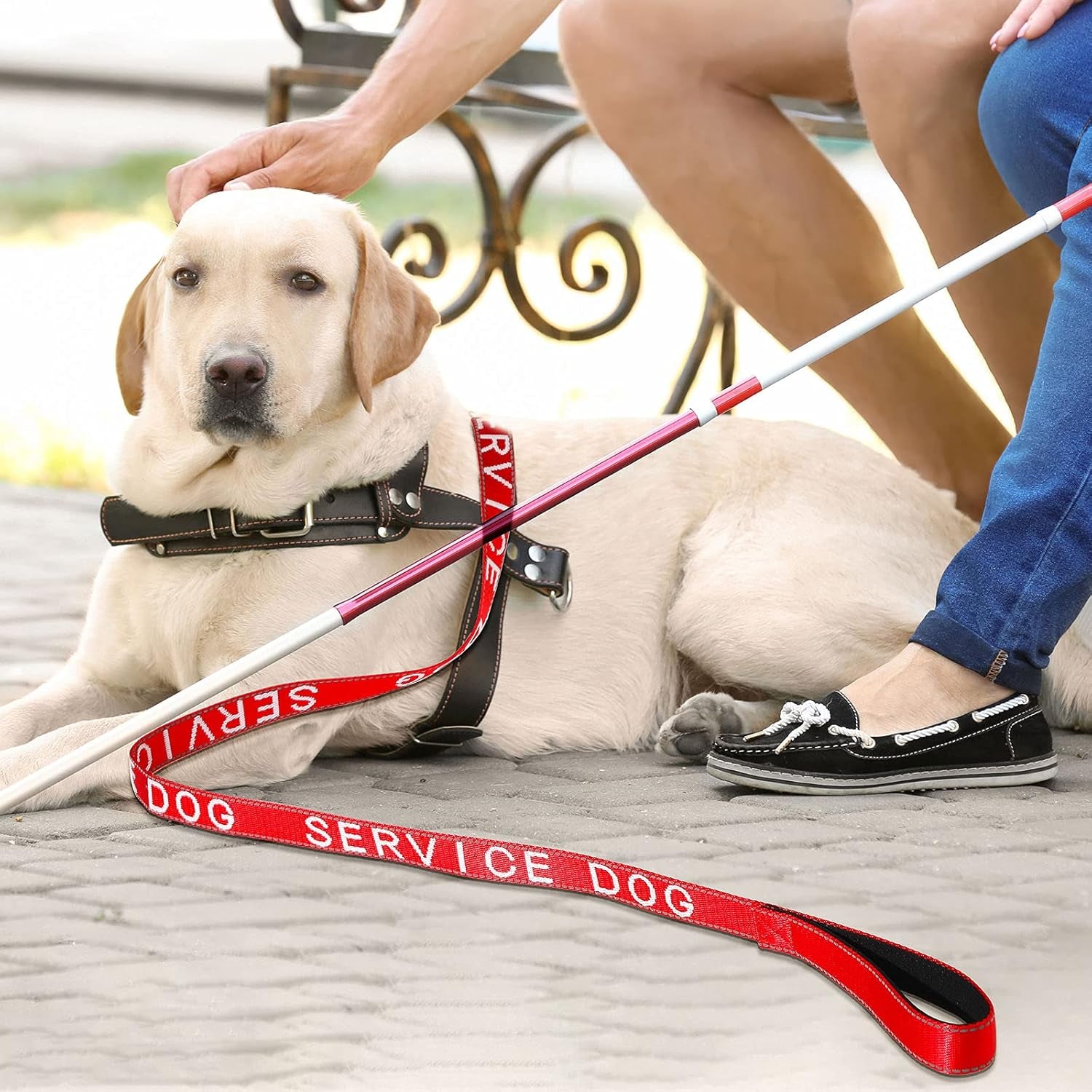 Emotional Support Dog Leash Service Dog Leash Reflective ESA Leash with Waterproof Neoprene Handle for Service Pet Vest ESA Vest ESA Harness(Service Dog)