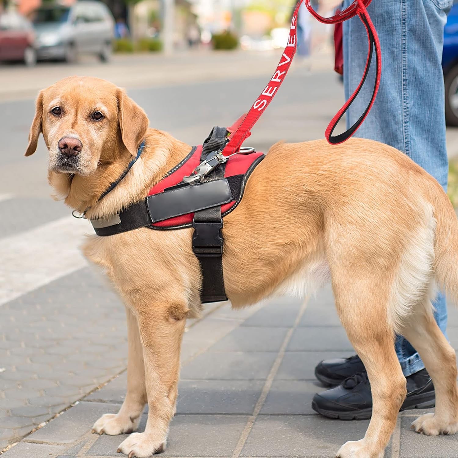 Emotional Support Dog Leash Service Dog Leash Reflective ESA Leash with Waterproof Neoprene Handle for Service Pet Vest ESA Vest ESA Harness(Service Dog)